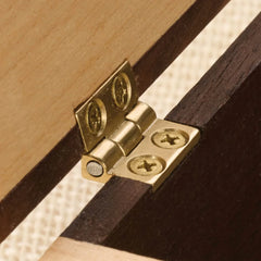 Small Brass Box Hinge - 1 Pair