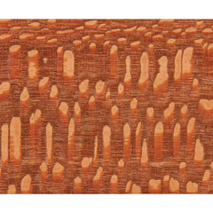 Leopardwood Wood Turning Stock